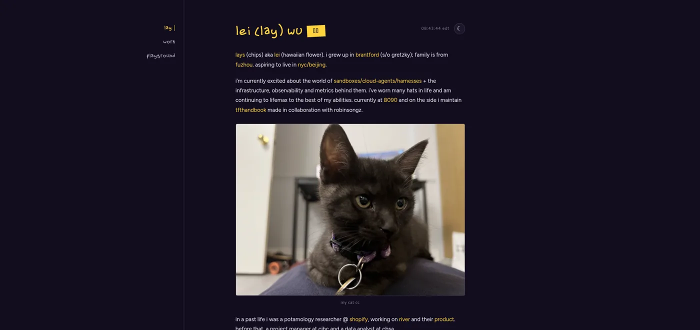 the current site: the single-column bio with figtree type, a handwritten title, and a photo of a smoke-black kitten